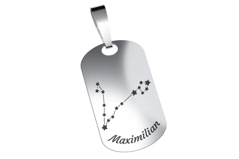Dog Tag Sternzeichen Fische, mittel - echt 925 Silber